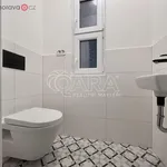 Rent 1 bedroom apartment of 45 m² in Brno