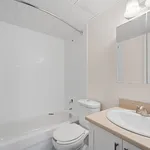 Rent 1 bedroom apartment in Windsor, ON