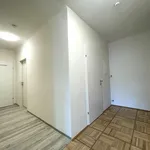 Rent 3 bedroom apartment of 83 m² in Wien