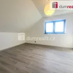 Rent 1 bedroom house of 340 m² in Křenek