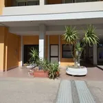 Rent 2 bedroom apartment of 65 m² in Cagliari