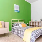 Rent a room in Padua