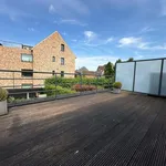 Rent 2 bedroom apartment in Zandhoven