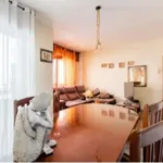 Rent a room in zaragoza