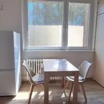 Rent 2 bedroom apartment of 33 m² in Vyškov