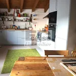 Rent 3 bedroom apartment of 100 m² in Monza