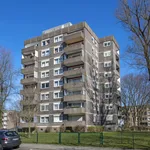 Rent 4 bedroom apartment of 75 m² in Dortmund