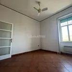 Rent 5 bedroom apartment of 110 m² in Naples