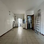 Rent 2 bedroom apartment of 60 m² in Torino