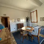 Rent 1 bedroom apartment of 40 m² in Firenze