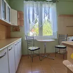 Rent 2 bedroom apartment of 58 m² in Olsztyn