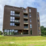 Rent 2 bedroom apartment of 83 m² in Herentals