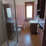 Rent 5 bedroom apartment of 110 m² in Pescara