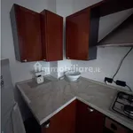 Rent 2 bedroom apartment of 135 m² in Turin