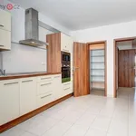 Rent 4 bedroom apartment of 120 m² in Brno