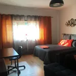 Rent 1 bedroom apartment in Lisbon