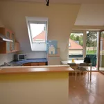 Rent 2 bedroom apartment of 56 m² in Pilsen