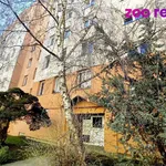 Rent 3 bedroom apartment in České Budějovice