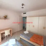 Rent 2 bedroom apartment of 50 m² in Pavia