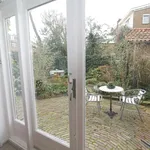 Rent 3 bedroom apartment of 110 m² in Den Haag