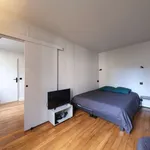  appartement avec 1 chambre(s) en location à paris