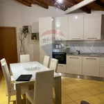 Rent 4 bedroom apartment of 110 m² in Caltagirone