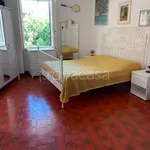 Rent 1 bedroom house of 100 m² in Polignano a Mare