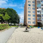 Rent 1 bedroom apartment in Šumperk