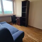 Rent 3 bedroom apartment of 47 m² in Szczecin