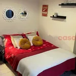 Rent 1 bedroom apartment of 30 m² in Pinerolo