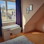 Rent a room of 100 m² in berlin