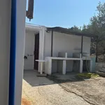 Rent 1 bedroom house of 70 m² in Κερατέα