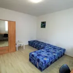 Rent 2 bedroom apartment of 30 m² in Brno