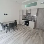 Rent 2 bedroom apartment of 64 m² in Turin