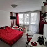 Rent 1 bedroom apartment in Hradec Králové