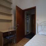 Rent a room in Trento