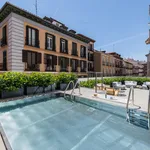 Rent 1 bedroom apartment of 121 m² in Madrid