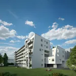 Rent 2 bedroom apartment of 55 m² in Graz