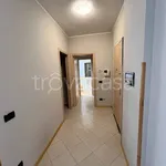 Rent 2 bedroom apartment of 50 m² in Alessandria