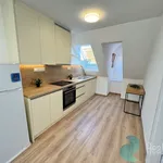 Rent 1 bedroom apartment of 43 m² in České Budějovice