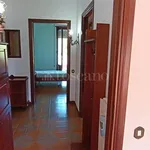 Rent 3 bedroom apartment of 100 m² in Frosinone