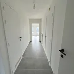 Rent 2 bedroom apartment in Lievegem