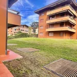 Rent 1 bedroom apartment of 35 m² in Varese