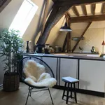 Rent 1 bedroom apartment in Leuven