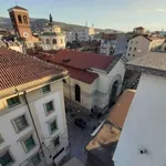 Rent 1 bedroom apartment of 60 m² in turin