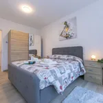 Miete 2 Schlafzimmer wohnung von 55 m² in Viganello