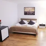 Rent 1 bedroom apartment in Prague