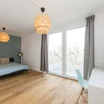 Rent a room in Berlin