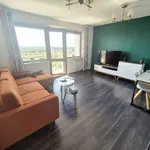 Rent 3 bedroom apartment of 74 m² in Zabrze