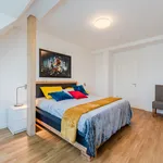 Rent 4 bedroom apartment of 130 m² in Berlin